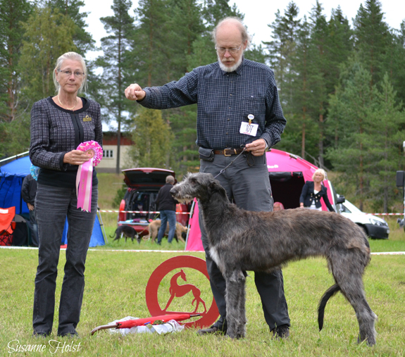 BIS VALP Galeritas Yetti in Forrest