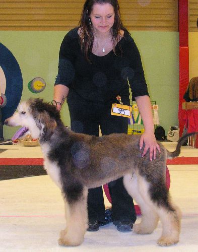 Ägare: Linda Olofsson, Norrfjädern