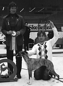 Ägare: Mats-Owe och Svanhild Ingvarsson, Ursviken