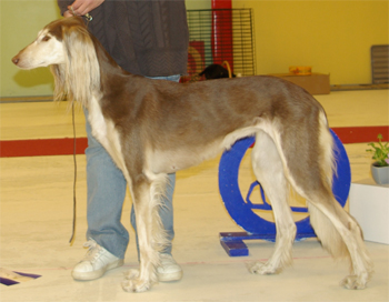 Ägare: Eeva Olkinoura, Skelleftehamn