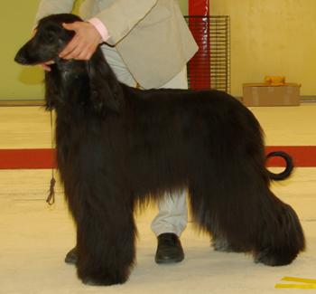 Ägare: Inger Löfgren, Huddinge