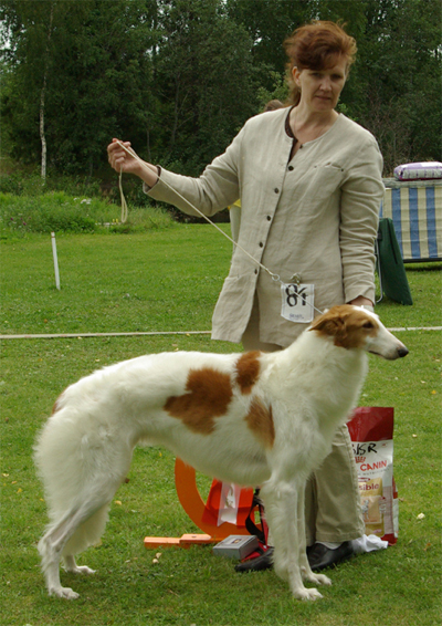 Ägare: Ritva Lisa Westerlund & Katarina Lundbreg, Jörn