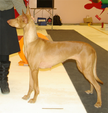 Ägare: Ann-Karin Wahlgren, Oxelösund