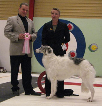 Ägare: Cecilia Stener, Färila