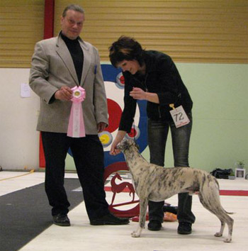 Ägare: Ewa Westerlund, Umeå