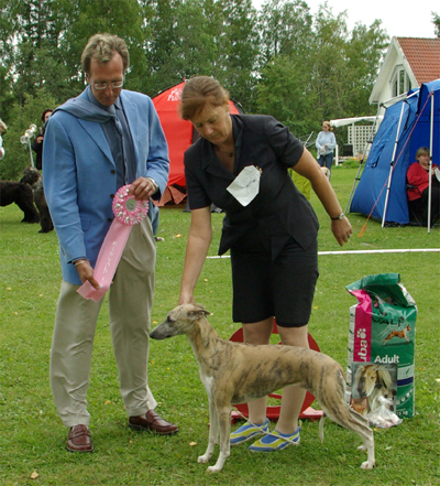 Ägare: Barbara Ruth Smith & Mikael Tofthagen, Graingesberg