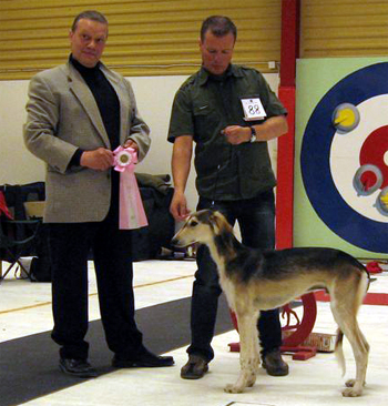 Ägare: Jan-Olof Blom, Kalix