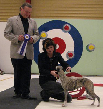 Ägare, Ewa Westerlund, Umeå