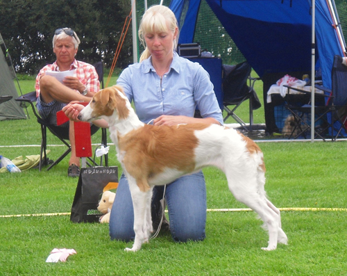 BIS BABYVALP Bierioza's Bellatrix