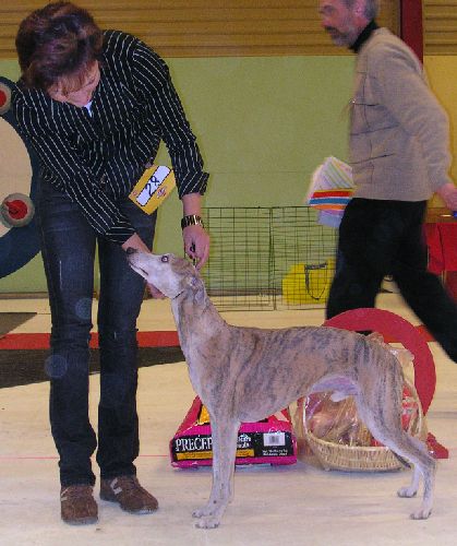 Ägare: Ewa Westerlund, Umeå.