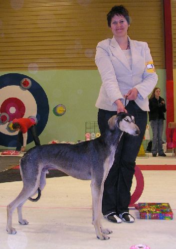 Ägare: Petra Samuelsson, Hägersten