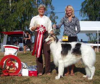 Ägare: Liselotte Morin, Risögrund
