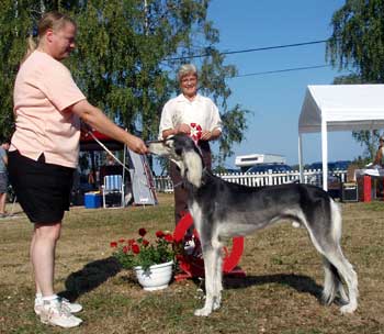 Ägare: Sari Hasa, Luleå