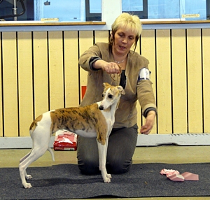 Ägare Monica Larsson & Uppf. Frånö