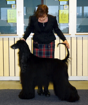 Ägare Johansson Lena, Johansson Gunnar, Wheeler Stephen, Luleå