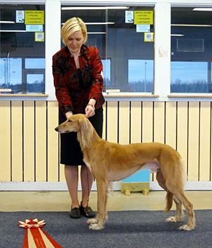 Ägare Niemi Ann-Sofie, Haparanda