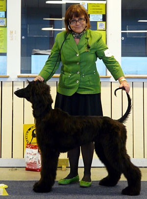 Ägare Ewa Backman, Kovland