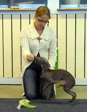 Ägare Gabrielle & Rickard Vikström, Byske