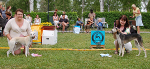 Ägare Tomas Johansson, Boden