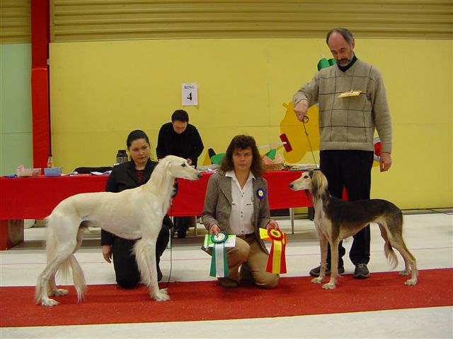 Skellefteå 24/4 2005