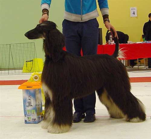 Ägare: Eija Pahtakari & Ari Lämsä, Finland