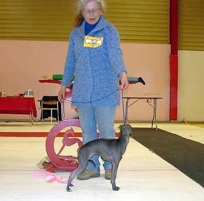 Äg: Ann-Christine Örtbring, Obbola