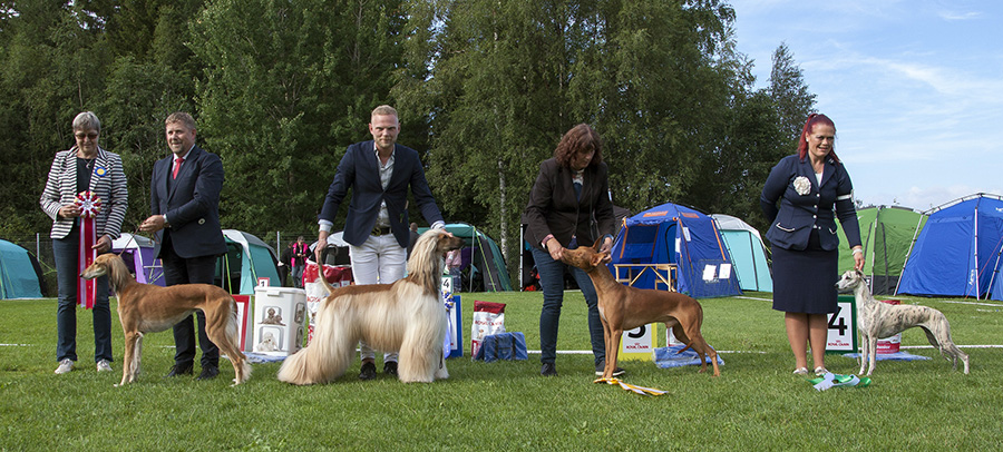 Best In Show