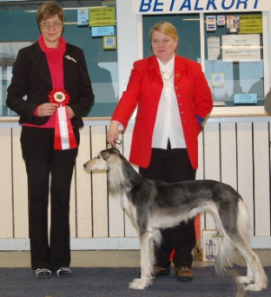 Ägare Sari Hasa, Luleå