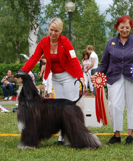 Ägare Ulrica Ljungberg, Råneå