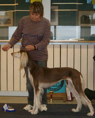 Ägare Eeva Olkinuora, Skelleftehamn