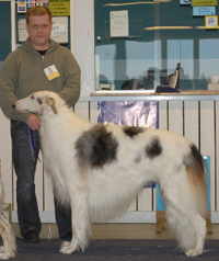 Ägare Nils Hannu, Kiruna