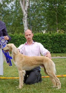 Ägare Ann-Sofie Niemi, Haparanda