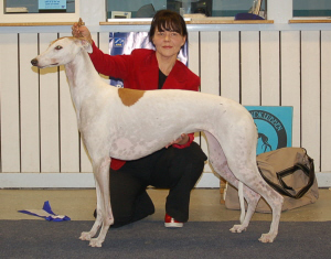 Ägare: Emmi Karvonen & Mari Salonen, Haukipudas - Finland