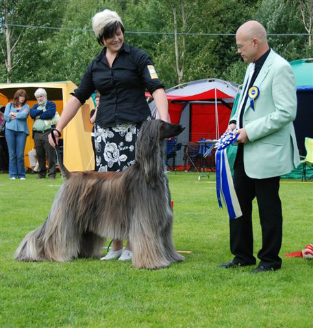 BIS-2 Afghanhund FI UCH DK UCH EST CH Brussels Winner-07 Ingenue Prime Minizter