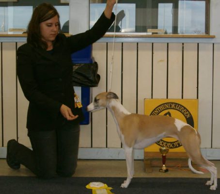 uppf & Ägare Mia Westerlund, Umeå