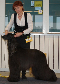 Ägare Lena & Gunnar Johansson, Luleå