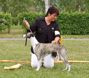 Ägare Inger Andersson, Byske