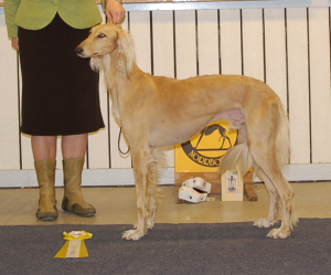 Ägare: Ann-Sofie Niemi, Haparanda