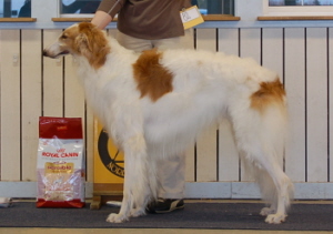 ägare: Katarina Lundberg-Tuoma, Jörn