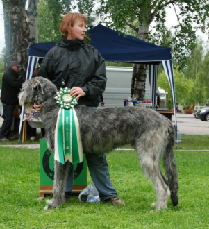 Ägare: Riitta Lehto-Nevala, Rantsila, Finland