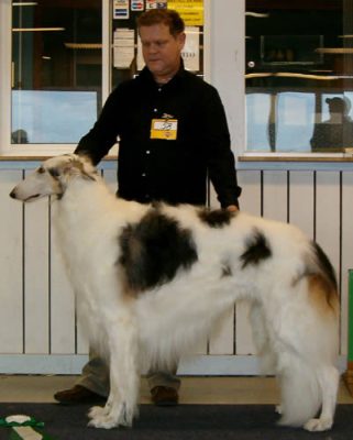 Ägare Nils Hannu, Kiruna