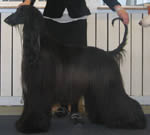 Ägare Lena & Gunnar Johansson, Luleå