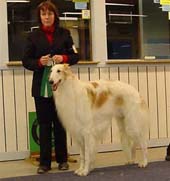 Ägare: Jeanette Eriksson, Bureå