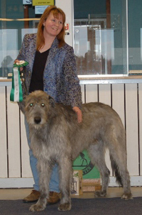 Ägare Riitta Lehto-Nevala, Finland