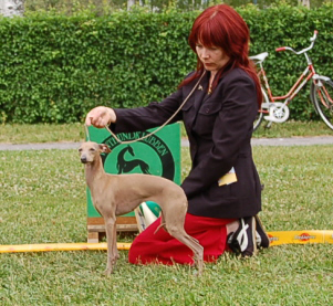 Ägare Hanna Ukura, Finland