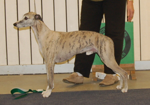 ägare: Inger Carlsson, Katrineholm