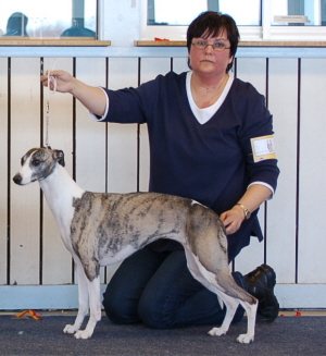 Ägare: Inger Andersson, Byske