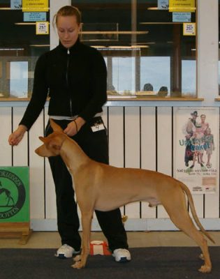 Ägare Linnea Norgren