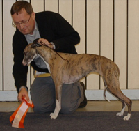 Ägare Svanhild Ingvarsson & Mats Owe Ingvarsson, Ursviken