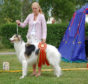 Ägare Liselotte Morin, Risögrund